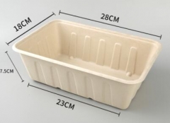 bagasse biodegradable containers takeaway box