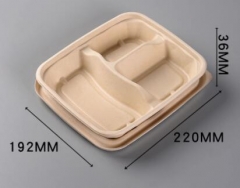 bagasse biodegradable compostable containers 3 compartment tray