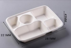 multi-shaped bagasse biodegradable compostable containers shallow 5 compartment tray