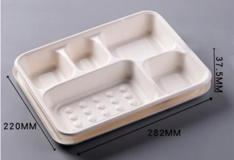 bagasse biodegradable compostable containers deep 5 compartment tray