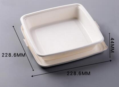 bagasse biodegradable containers 9" single tray