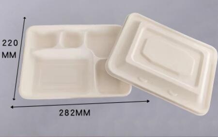 bagasse biodegradable containers deep 5 compartment tray