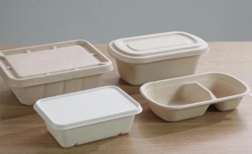 bagasse biodegradable containers takeaway box