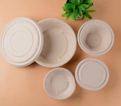 bagasse biodegradable containers takeaway box