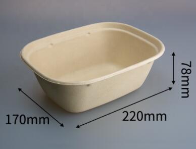 bagasse biodegradable containers 1300ml takeaway box