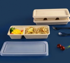 bagasse biodegradable containers takeaway box