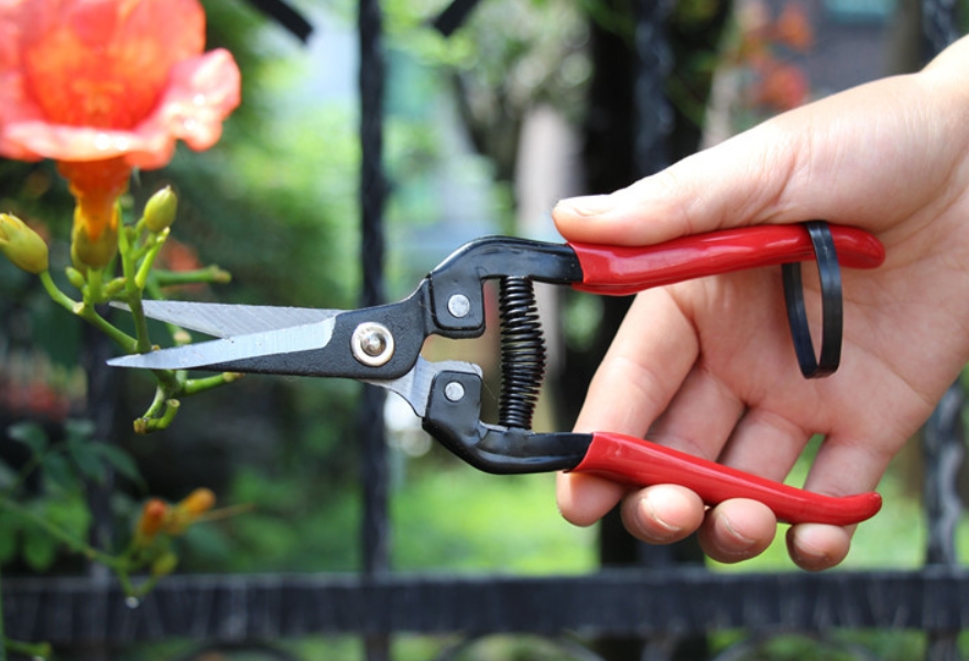 garden pruning shears,gardening scissors