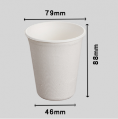 bagasse biodegradable cup disposable paper cup