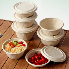 disposable paper bowl bagasse biodegradable dinner bowl noodle bowl salad bowl soup bowl