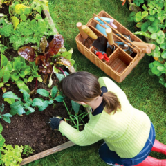 garden basket tool set garden kit