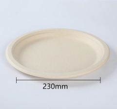 disposable plate bagasse pulp biodegradable plate 6