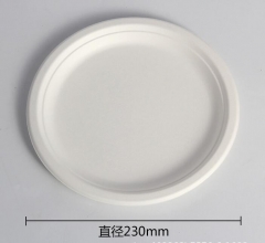 disposable plate bagasse pulp biodegradable plate 6