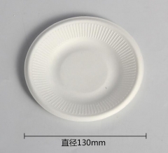 disposable plate bagasse pulp biodegradable plate 5