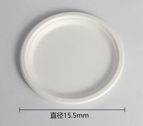 disposable plate bagasse pulp biodegradable plate 6" 7" 9" 10"